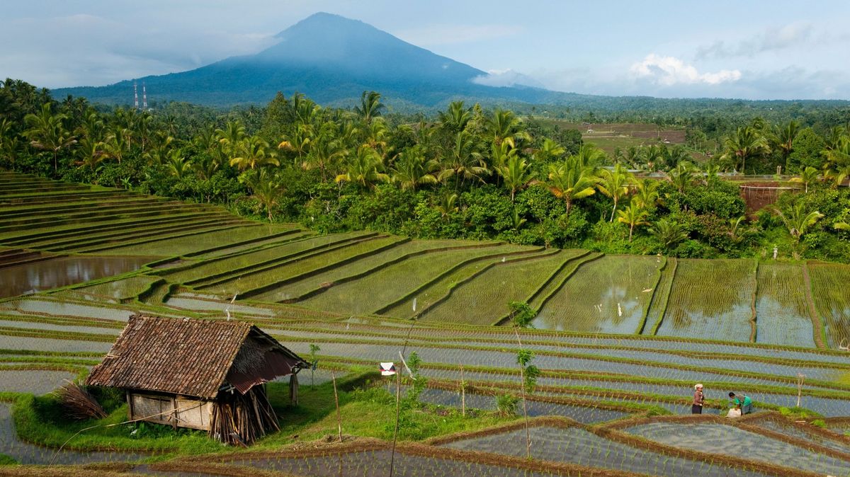 Na Bali chtějí plošně zakázat výstupy na hory. Může za to špatné chování turistů